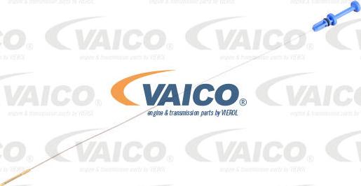 VAICO V22-0867 - Eļļas tausts www.autospares.lv