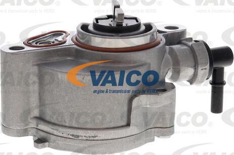 VAICO V22-0751 - Vakuumsūknis, Bremžu sistēma www.autospares.lv