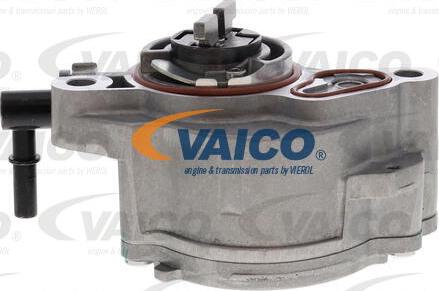 VAICO V22-0751 - Vakuumsūknis, Bremžu sistēma www.autospares.lv