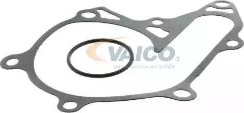 VAICO V70-50001 - Ūdenssūknis www.autospares.lv