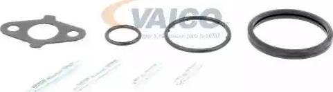 VAICO V70-50007 - Ūdenssūknis www.autospares.lv