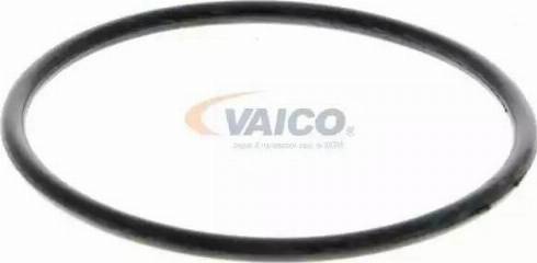 VAICO V70-50012 - Ūdenssūknis www.autospares.lv