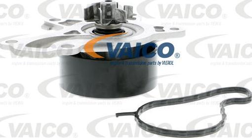 VAICO V70-50027 - Ūdenssūknis www.autospares.lv