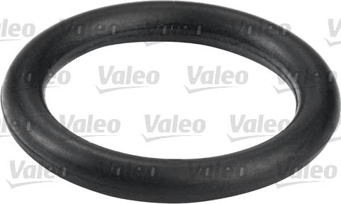 Valeo 587555 - Degvielas filtrs www.autospares.lv