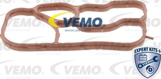 Vemo V15-60-90015 - Blīve, Eļļas radiators www.autospares.lv