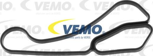 Vemo V20-60-1562 - Blīve, Eļļas radiators www.autospares.lv