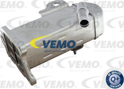 Vemo V22-63-0031 - Radiators, Izplūdes gāzu recirkulācija www.autospares.lv