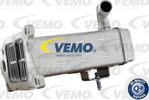 Vemo V22-63-0031 - Radiators, Izplūdes gāzu recirkulācija www.autospares.lv