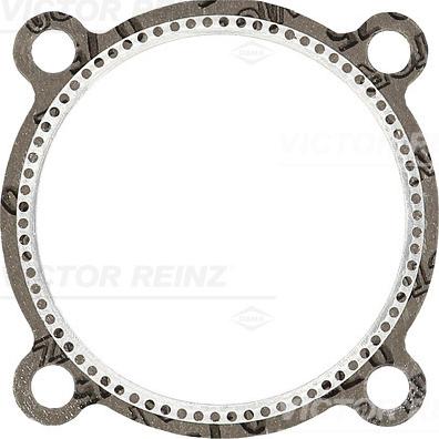 Victor Reinz 61-20201-30 - Blīve, Motora bloka galva www.autospares.lv