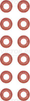 Victor Reinz 12-37054-01 - Blīvju komplekts, Vārsta kāts www.autospares.lv