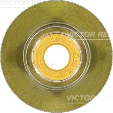 Victor Reinz 70-40336-00 - Blīvgredzens, Vārsta kāts www.autospares.lv