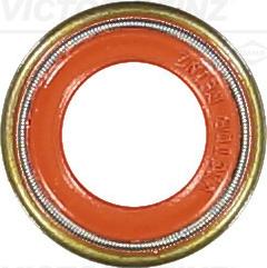 Victor Reinz 70-36004-10 - Blīvgredzens, Vārsta kāts www.autospares.lv