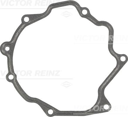 Victor Reinz 71-31793-00 - Blīve, Vakuumsūknis www.autospares.lv