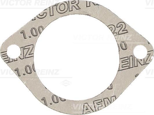 Victor Reinz 71-38304-00 - Blīve, Ieplūdes kolektora korpuss www.autospares.lv