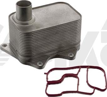 Vika 11171702201 - Oil Cooler, engine oil www.autospares.lv