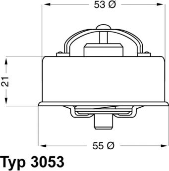 WAHLER 3053.75 - Termostats, Dzesēšanas šķidrums www.autospares.lv