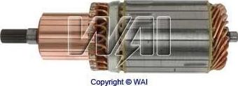 WAI 61-8204 - Enkurs, Starteris www.autospares.lv