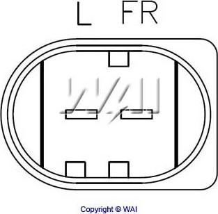 WAI IB6026 - Ģeneratora sprieguma regulators www.autospares.lv