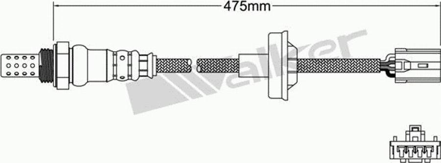 Walker 250-24979 - Lambda zonde www.autospares.lv