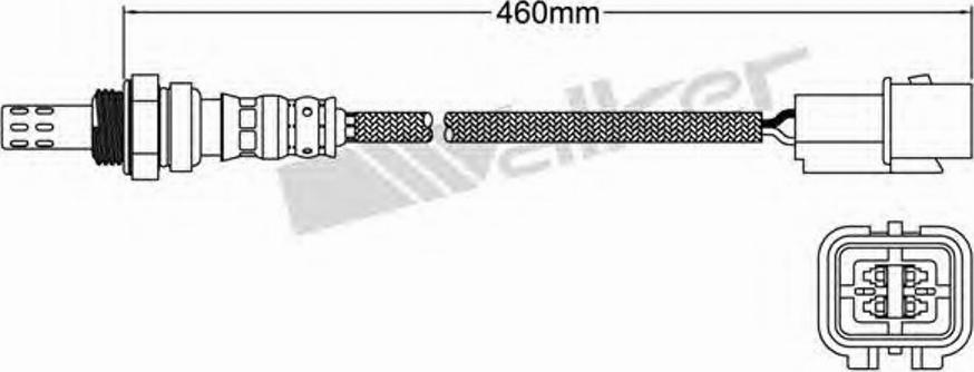 Walker 250-24461 - Lambda Sensor www.autospares.lv