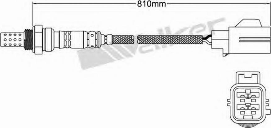 Walker 250-24408 - Lambda zonde www.autospares.lv