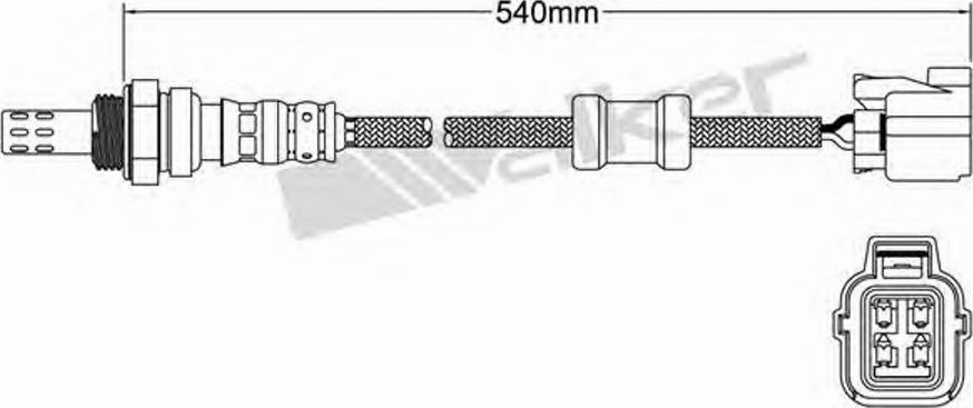 Walker 250-24429 - Лямбда-зонд, датчик кислорода www.autospares.lv