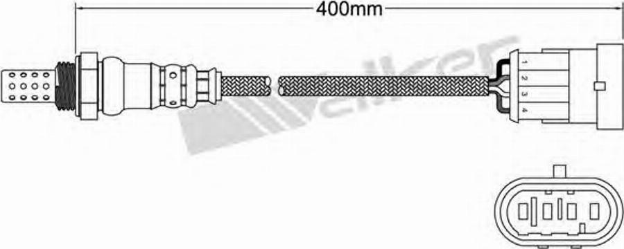 Walker 25024564 - Lambda zonde www.autospares.lv