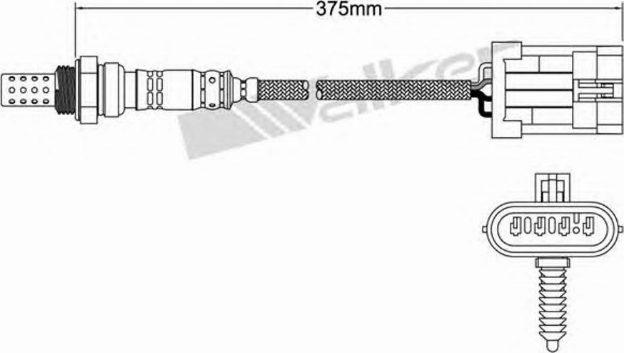 Walker 250-24012 - Lambda Sensor www.autospares.lv