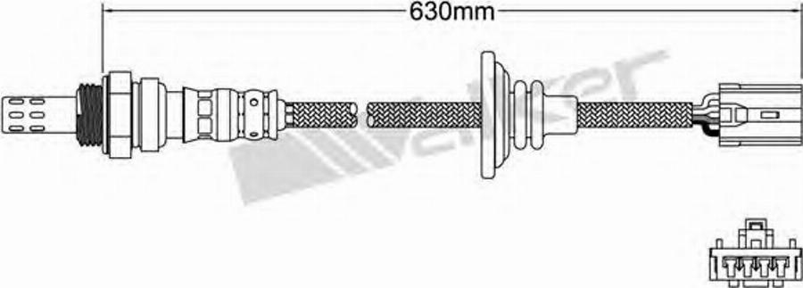 Walker 25024083 - Lambda zonde www.autospares.lv