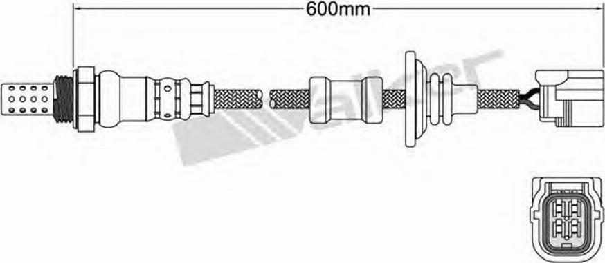 Walker 250-24798 - Lambda zonde www.autospares.lv