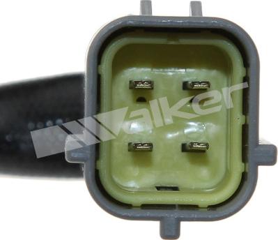 Walker Products 800-94007 - Lambda zonde autospares.lv