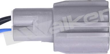 Walker Products 350-64013 - Lambda zonde www.autospares.lv