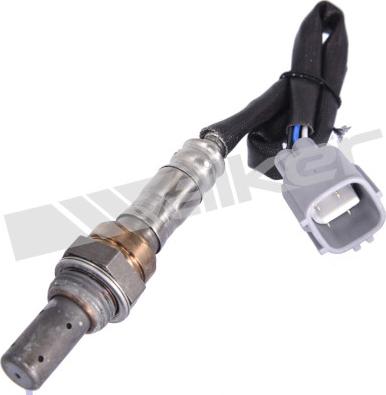 Walker Products 350-64013 - Lambda zonde www.autospares.lv