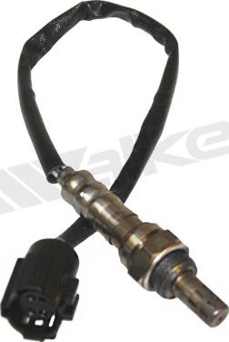 Walker Products 350-34439 - Lambda zonde autospares.lv