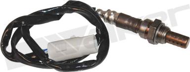 Walker Products 350-34549 - Lambda zonde autospares.lv