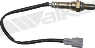 Walker Products 350-34099 - Lambda zonde autospares.lv