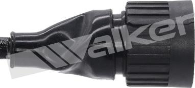 Walker Products 350-34038 - Лямбда-зонд, датчик кислорода www.autospares.lv