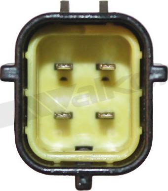 Walker Products 350-34166 - Лямбда-зонд, датчик кислорода www.autospares.lv