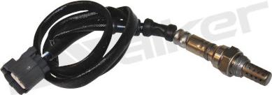 Walker Products 350-34119 - Lambda Sensor www.autospares.lv