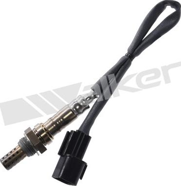 Walker Products 350-34851 - Lambda zonde autospares.lv