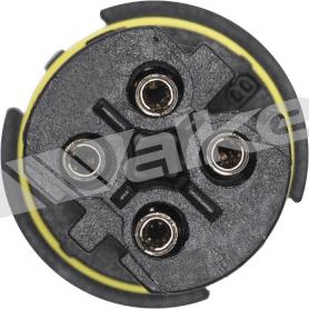 Walker Products 350-34239 - Lambda zonde www.autospares.lv