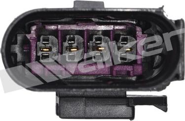 Walker Products 350-34764 - Lambda zonde autospares.lv