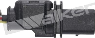 Walker Products 350-35076 - Lambda zonde autospares.lv