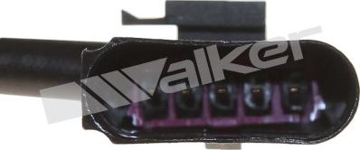 Walker Products 350-35121 - Lambda zonde www.autospares.lv