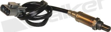 Walker Products 350-33010 - Lambda zonde autospares.lv