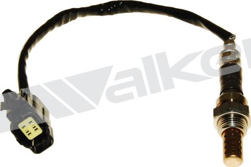 Walker Products 250-24905 - Lambda zonde autospares.lv