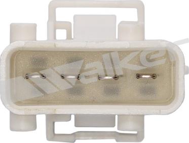 Walker Products 250-24546 - Lambda zonde autospares.lv