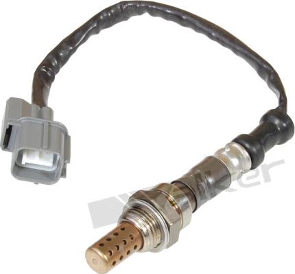 Walker Products 250-24011 - Lambda zonde autospares.lv