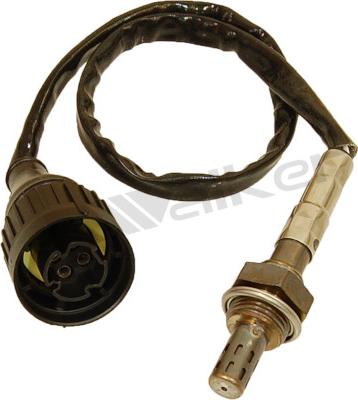 Walker Products 250-24035 - Lambda zonde autospares.lv