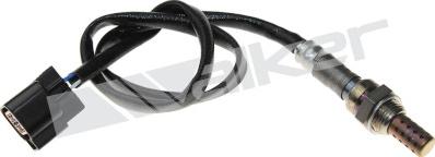 Walker Products 250-241031 - Lambda zonde www.autospares.lv